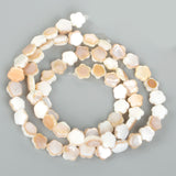 Multicolor Stars Shell Beads Mother of Pearl Spacer Beads 6mm