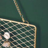 Earring Wall Holder Organizer Jewelry Storage Hook