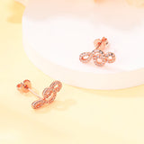 925 Silver Rose Earphone Notes K Earrings