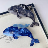 Marine Shark Hair Claw Acetate Claw Clip
