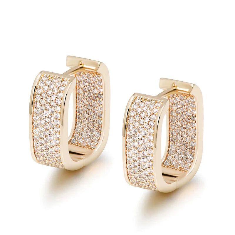 AAA+ CZ Micron Zircon Hoop Earrings for Women
