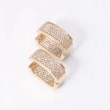AAA+ CZ Micron Zircon Hoop Earrings for Women