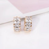 AAA+ Zircon Earrings Hoop Mix 18k Good