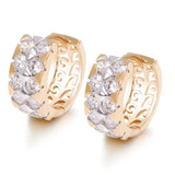 AAA+ Zircon Earrings Hoop Mix 18k Good
