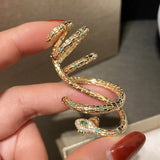 Mysterious Snake-shaped Winding Earrings 925 Silver Needle