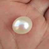 10x12.5mm South Sea Pearl Half Drilled