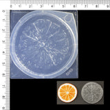 3D Mini Lemon Cup Bottle UV Resin Silicone Mold Food Play Mold Tool