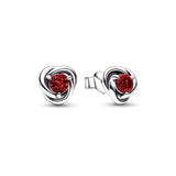 S925 Birthstone Eternity Circle Stud Earrings for Women