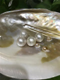 Nucleated Baroque Freshwater Pearl 13-14MM 1PCS