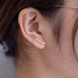 Personalized Name Earrings Stainless Steel Jewelry