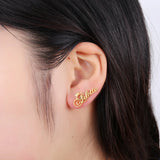 Rose Stainless Steel Crown Stud Earrings Birthday Gift