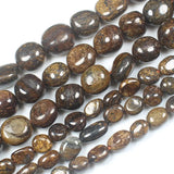 4-12mm Bronzite Irregular Beads 15" Strand DIY Jewelry Making