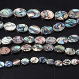 Abalone Shell Beads Charms Egg Shaped Loose Beads DIY Jewelry Necklace Bracelet