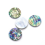 Abalone Shell Circular Ring Surface 40mm Jewelry DIY