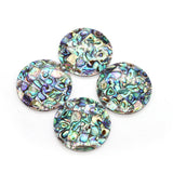 Abalone Shell Disc Pendants for DIY Necklace Jewelry Making