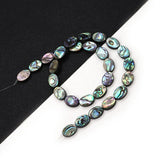 Abalone Shell Oval Beads Necklace Bracelet Pendant Gift