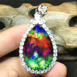 Natural Ammonite Ammolite Necklace Pendant Healing Stone Crystal Silver Jewelry