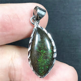 Natural Ammonite Ammolite Pendant Jewelry Healing Luck Gift Crystal Silver