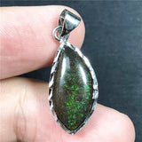 Natural Ammonite Ammolite Pendant Jewelry Healing Luck Gift Crystal Silver