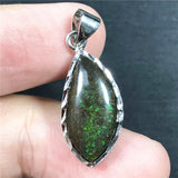 Natural Ammonite Ammolite Pendant Jewelry Healing Luck Gift Crystal Silver