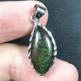 Natural Ammonite Ammolite Pendant Jewelry Healing Luck Gift Crystal Silver
