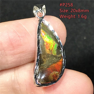 Natural Ammonite Ammolite Pendant Jewelry For Women Men