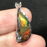 Natural Ammonite Ammolite Pendant Jewelry For Women Men