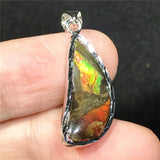 Natural Ammonite Ammolite Pendant Jewelry For Women Men