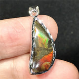 Natural Ammonite Ammolite Pendant Jewelry For Women Men