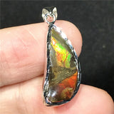 Natural Ammonite Ammolite Pendant Jewelry For Women Men