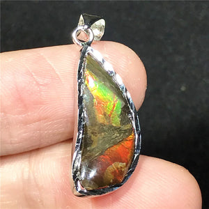 Natural Ammonite Ammolite Pendant Jewelry For Women Men