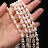 Baroque Pearl Bead Gourd Shape Freshwater Pearl Loose Beaded 6x10-8x12mm