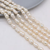 Baroque Pearl Bead Gourd Shape Freshwater Pearl Loose Beaded 6x10-8x12mm