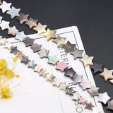 Mother of Pearl Shell Star Beads for Jewelry Making