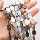Mother-of-pearl Beads Freshwater Shell Bead for Jewelry Making