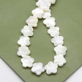 Shell Mother-of-pearl Flower Beads for DIY Jewelry