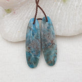 Natural Apatite Crystal Earrings 30x10x6mm