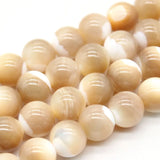 Coffee Shell Mother of Pearl Beads Freshwater Loose Beads Jewelry Making