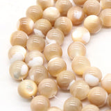 Coffee Shell Mother of Pearl Beads Freshwater Loose Beads Jewelry Making