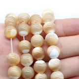 Coffee Shell Mother of Pearl Beads Freshwater Loose Beads Jewelry Making