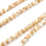 Coffee Shell Mother of Pearl Beads Freshwater Loose Beads Jewelry Making