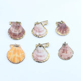Colorful Cowrie Shell Conch Charms Beads 10pcs/lot DIY Boho Jewelry Making