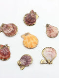 Colorful Cowrie Shell Conch Charms Beads 10pcs/lot DIY Boho Jewelry Making