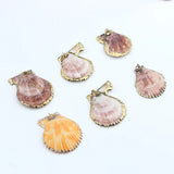 Colorful Cowrie Shell Conch Charms Beads 10pcs/lot DIY Boho Jewelry Making