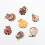 Colorful Cowrie Shell Conch Charms Beads 10pcs/lot DIY Boho Jewelry Making