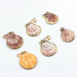 Colorful Cowrie Shell Conch Charms Beads 10pcs/lot DIY Boho Jewelry Making