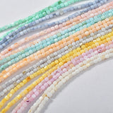 Colorful Freshwater Shell Beads for DIY Jewelry Making - 105pcs