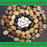 Natural Colorful Stone Fish Landscape Stone Rain Flower Stone Turtle Tank Bottom