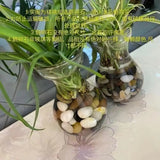 Natural Colorful Stone Fish Landscape Stone Rain Flower Stone Turtle Tank Bottom
