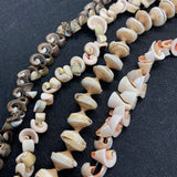 Natural Conch Bead Irregular Shape Bracelets for Women